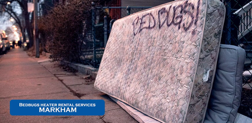 bedbugs heater rental service scarborough call at 416-571-4650