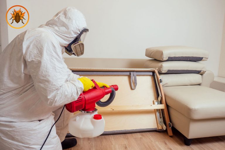 Bed bugs are Hard To kill